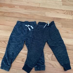 3t joggers